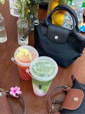 NWT Longchamp energy XS